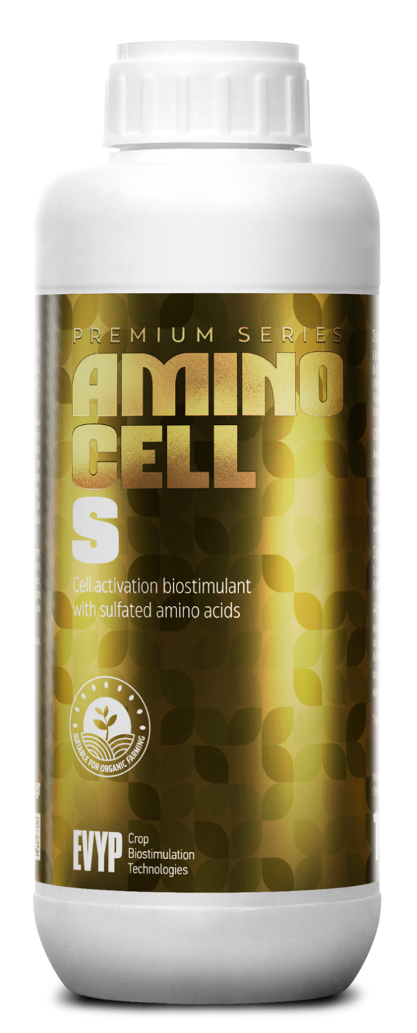 Amino Cell S