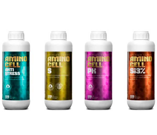 Premium Series
